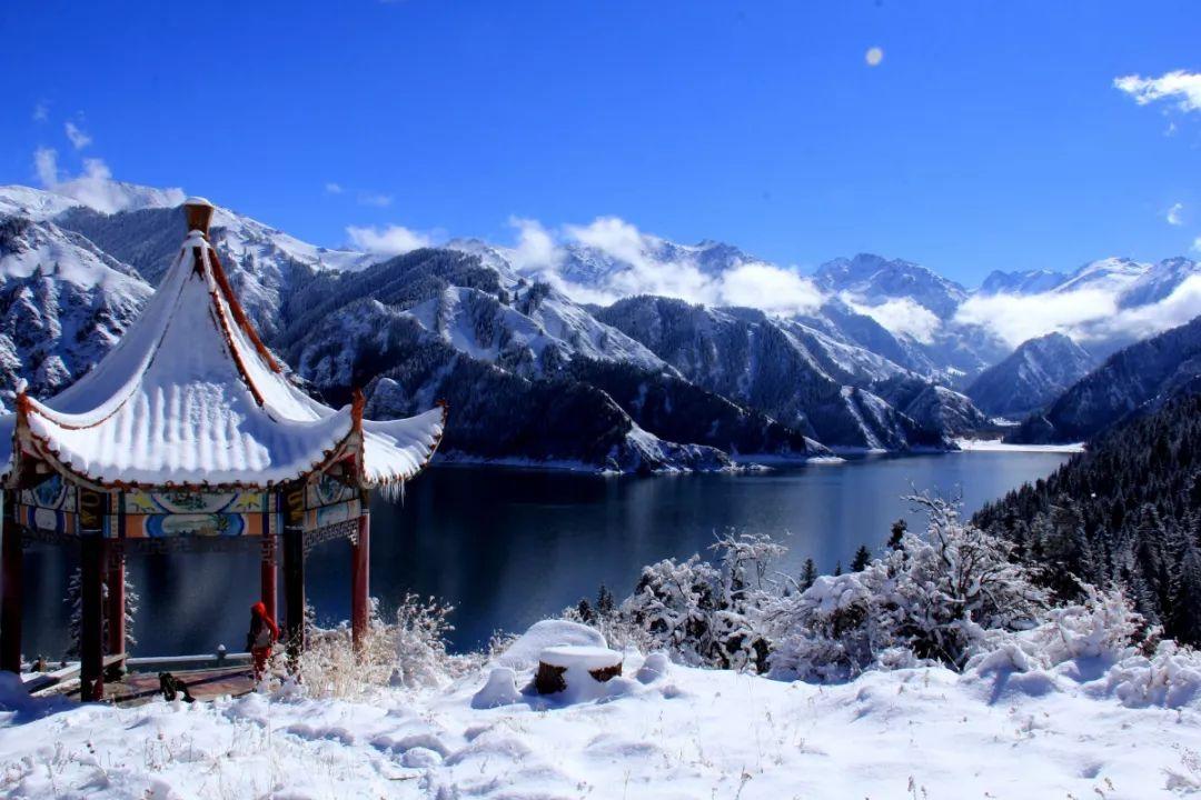 小萌兔的影分身